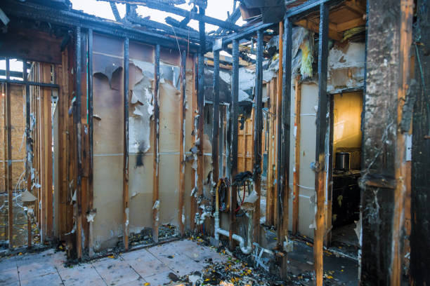 Professional Smoke Damage Removal technician working in Pine Canyon, CA